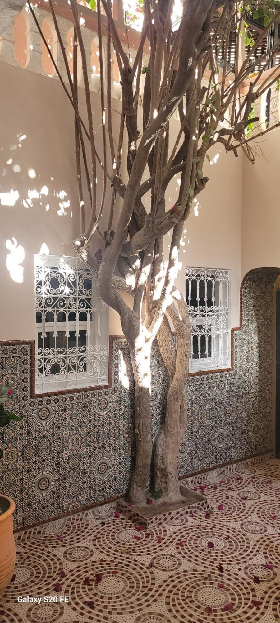 Surf Riad 塔哈佐特 外观 照片